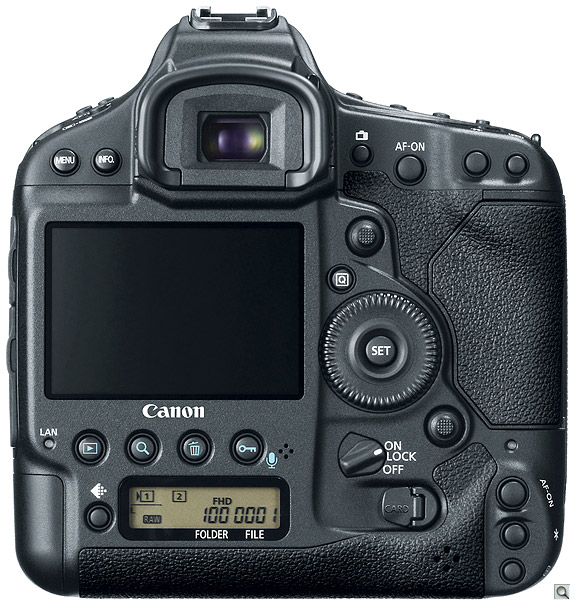 Canon 1D X Back