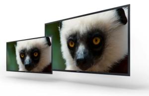Sony 4K OLED monitor