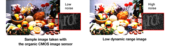 Organic CMOS Sensor