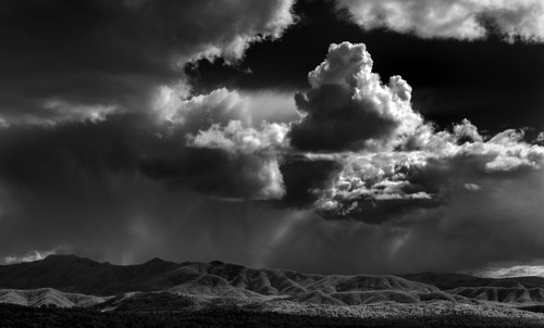 Glen Ryan smallHD DP7 HB