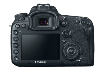 Canon 7D MKII Back