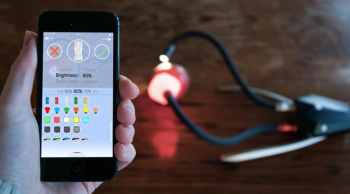 Adaptalux macro lighting