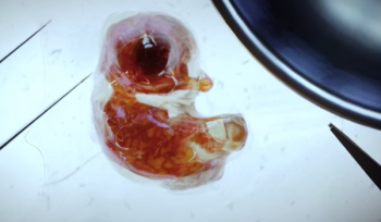 Creature Sony Action Cam