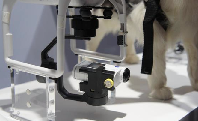 Moza mini FDR-X1000V Sony Action Cam