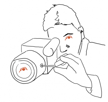 Panavision Primo 70 Series Sensor Size & Perspective White Paper