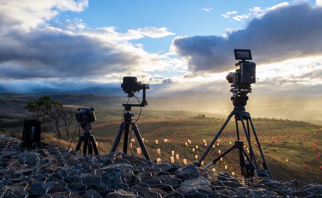 Miller_silver dory_1