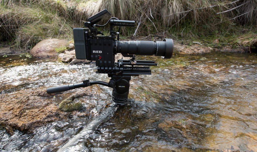 Miller_silver dory_4