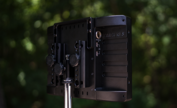 shd-1303-beauty-small-back