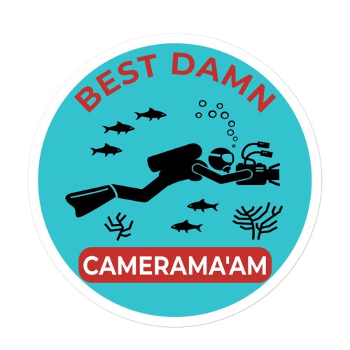 Best Damn Camerama'am - #3 - Bubble-free stickers